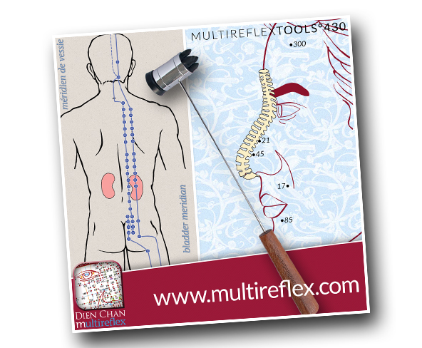 méridien vessie Dien Chan